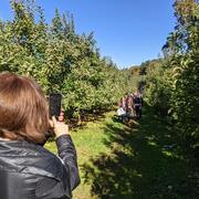 Lab apple picking 2021 image 5