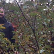 Apple Picking at Smolak Farms Image 13