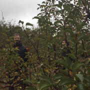 Apple Picking at Smolak Farms image 14