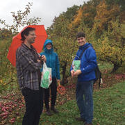Apple Picking at Smolak Farms image 16