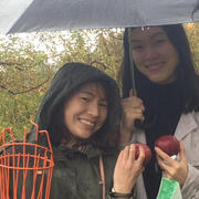 Apple Picking at Smolak Farms image 2