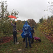 Apple Picking at Smolak Farms image 3