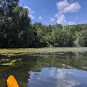 Lab Kayaking Trip Summer 2019 image 14