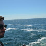 lab whale watching image 6