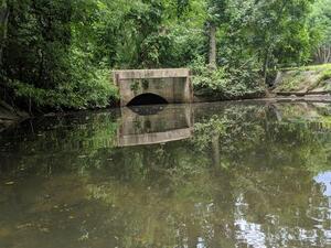 Lab Kayaking Trip Summer 2019 image 19