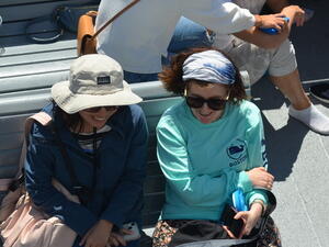 lab whale watching image 10