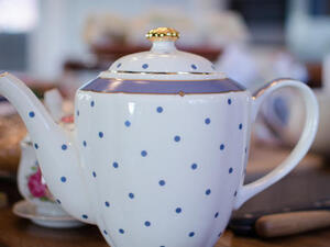 Tea Party 2016